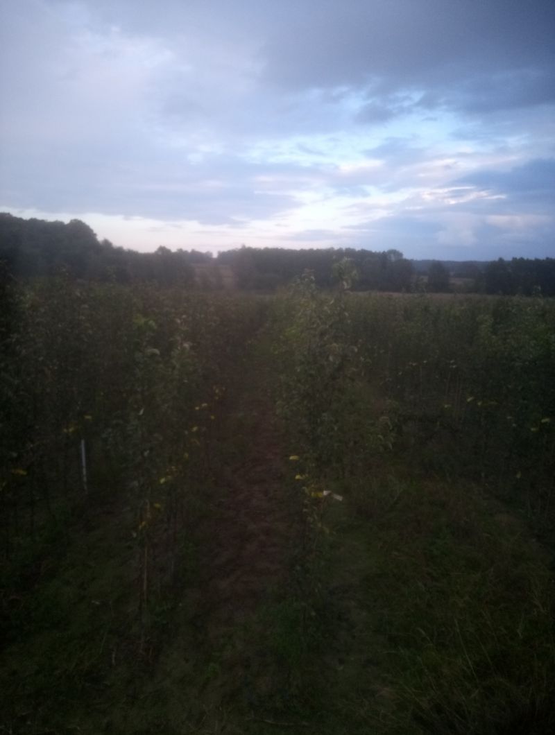 Img 20240925 180021 260